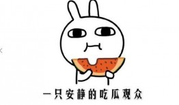 抖音网红事件吃瓜,吃瓜群众围观，揭秘网络红人幕后真相